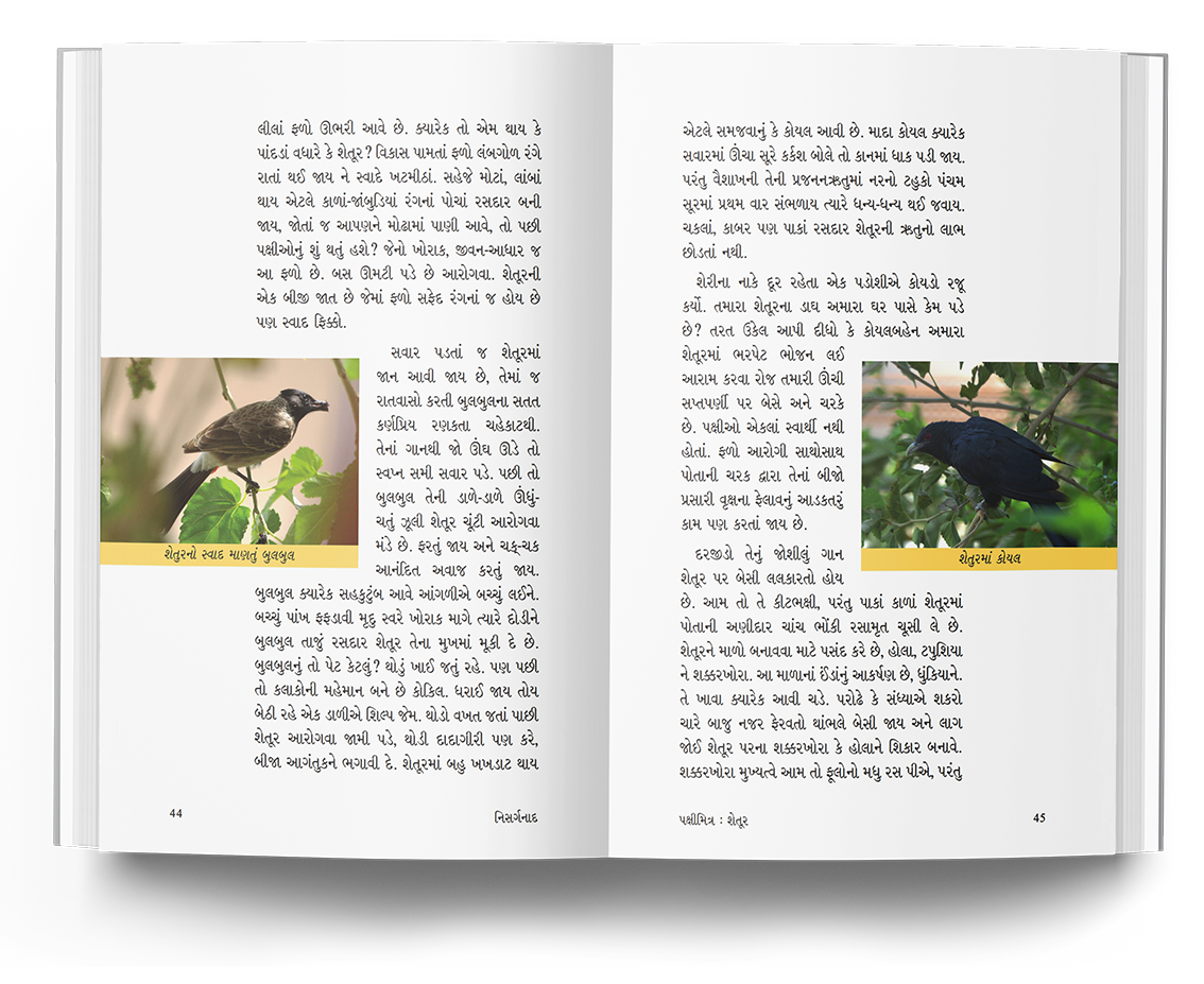 નિસર્ગનાદ